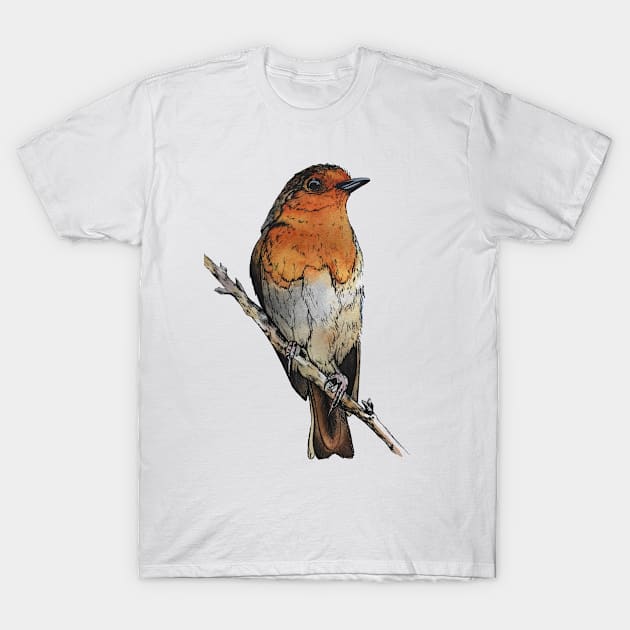 Little Robin T-Shirt by Irsaervin